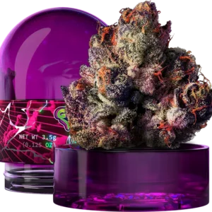 Rainbow Gelato Wizard Trees Kaufen Online